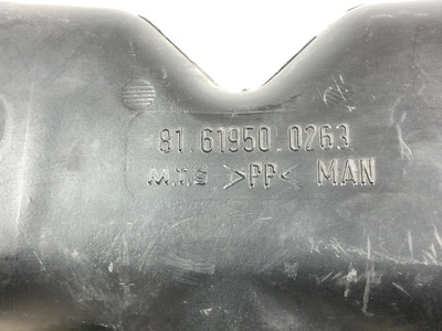 MAN ���������� ��������� MAN TGX �/� (����, ��� 2)
