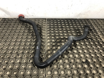 MAN ������������� ��������� MAN TGX �/� (����, ��� 5)