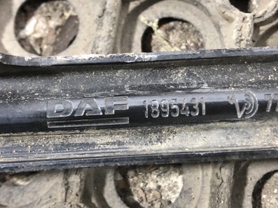 ���� ����������� DAF XF106 �/� (����, ��� 3)