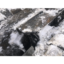 Scania ������ ����� ����� Scania �/�. ��� 2