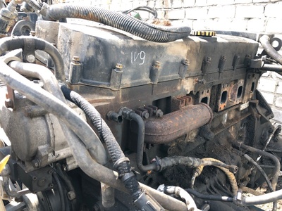 Iveco    ()