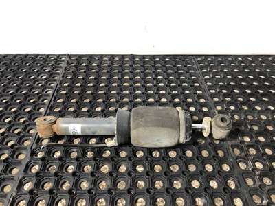 Iveco ����������� ������ ������ Iveco Stralis �/� (����)