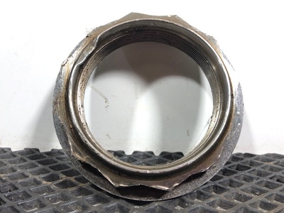 Iveco   ()