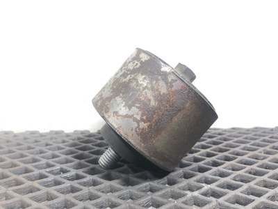 Iveco   ()
