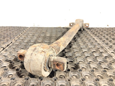 Iveco    ()
