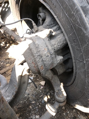 Iveco    ,   ()