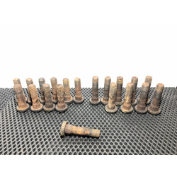 DAF ������� ������� DAF XF95 �/�