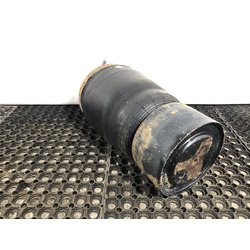 DAF ������� �������������� DAF XF105 �/�
